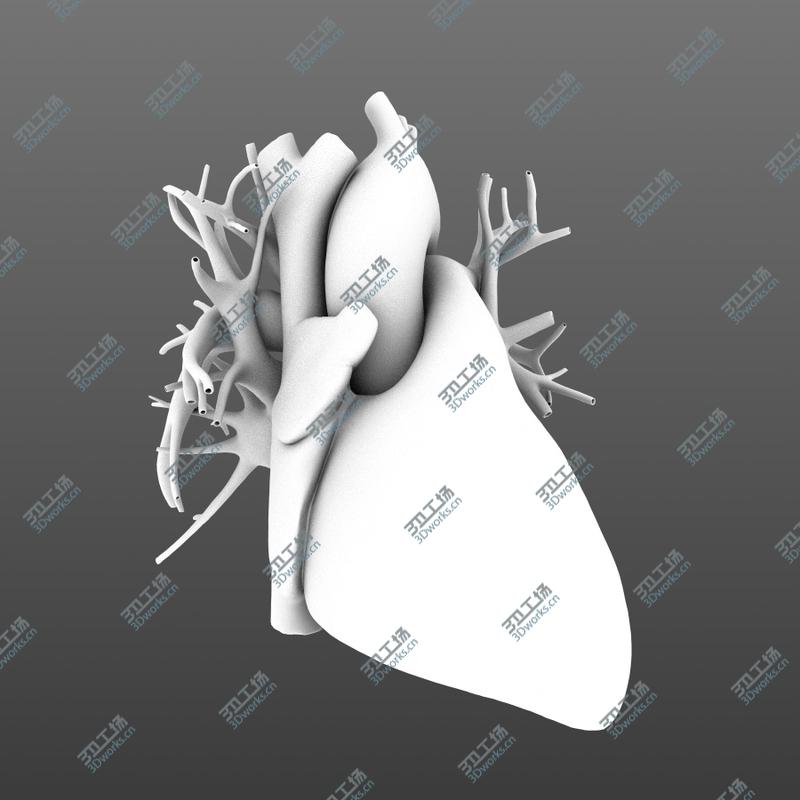 images/goods_img/2021040164/Human heart animated v3. Vray ready materials and scene of human heart/5.jpg